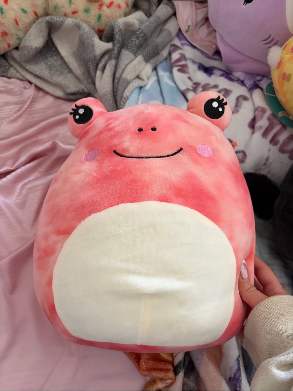 Medium sized frog Squishmallow